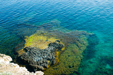 Beautiful aquamarine underwater world. Transparent water and unusual algae off the coast