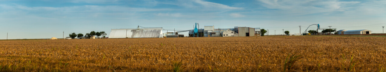 Cotton Gin Panorama