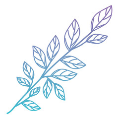 branch with leafs ecology icon vector illustration design