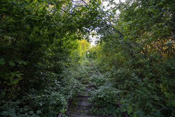 Love tunnel of the edge of the road of the abandoned train lines Romania
