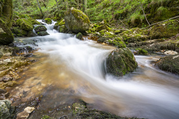 Obraz premium River of the Bigar Waterfall above the cascade Romania