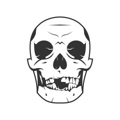 skull illustration