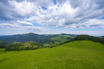 Fototapeta na wymiar Mountain Apuseni Zona Padis Romania on the peak