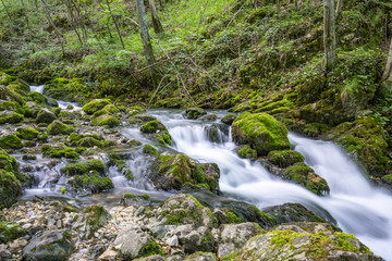 Fototapeta na wymiar River of the Bigar Waterfall above the cascade Romania