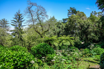 Park of Quinta da Regaleira, Sintra, Portugal