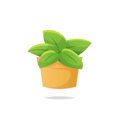 House plant in pot vector