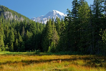 Blick auf den Mount Rainier