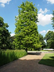 path in the park