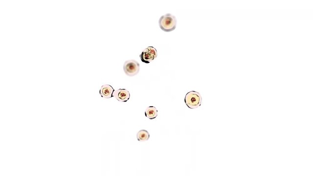 Cells Mitosis Biology