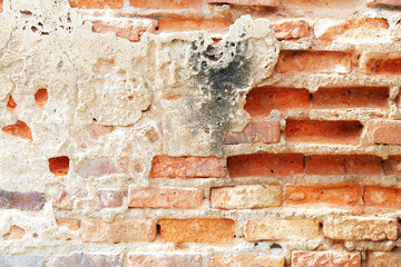 Fototapeta premium texture of old brick wall background.