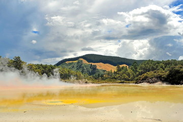 New Zealand. Zone of geothermal activity in the vicinity of Rotorua.
