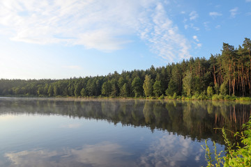 Beautiful landscape with forest near lake. Camping season