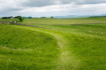 Trail Through a Grassy Field on a Cloudy Spring Day.