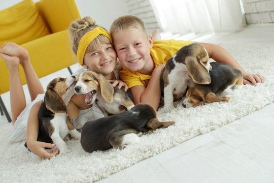 Children with a dog 