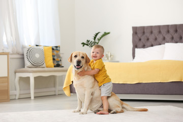 Adorable yellow labrador retriever and little boy at home