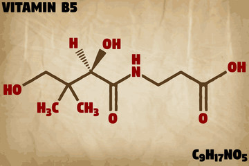 Detailed infographic illustration of the molecule of Vitamin B5.