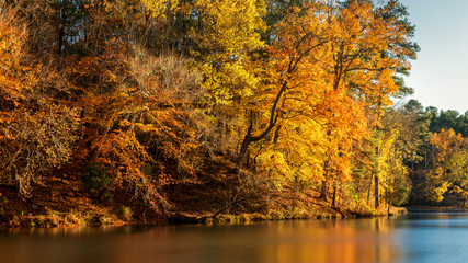 Fototapeta na wymiar Lake at Umstead State Park in Autumn - North Carolina