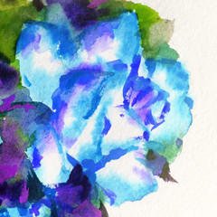 Abstract bright colored decorative background . Floral pattern handmade . Beautiful tender romantic bouquet off iris flowers   , made in the technique of watercolors from nature.