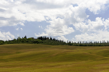 Green rolling hills in Tuscany