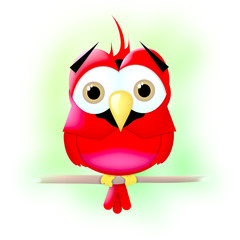 Cute Cardinal