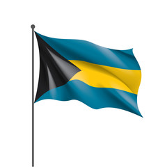 Bahamas flag, vector illustration
