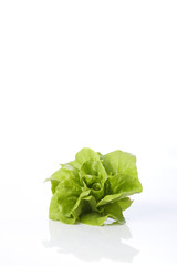 butterhead lettuce on a white background