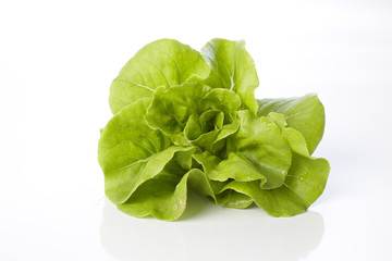 butterhead lettuce on a white background