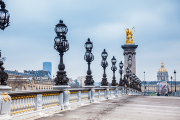 Fototapeta na wymiar The Pont Alexandre III in a freezing winter day in Paris