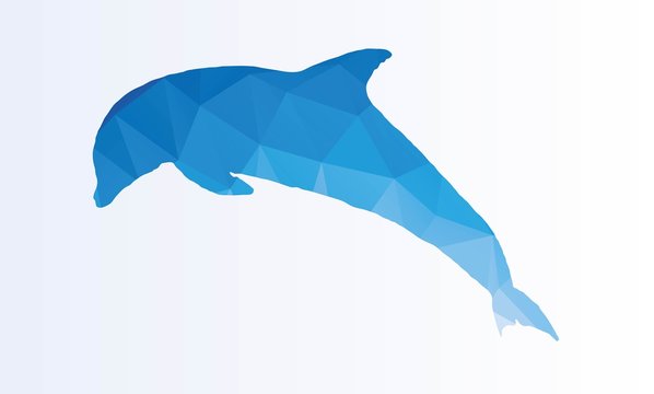 Polygonal Dolphin