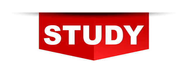 red vector banner study