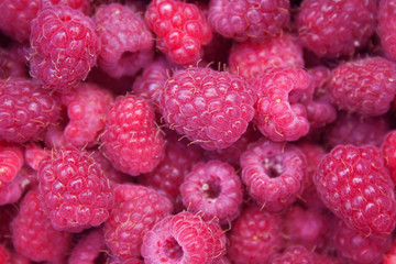 Heap of red raspberries