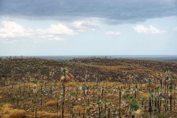 Landschaft - Landwirtschaft und Berge auf Kuba - Trinidad