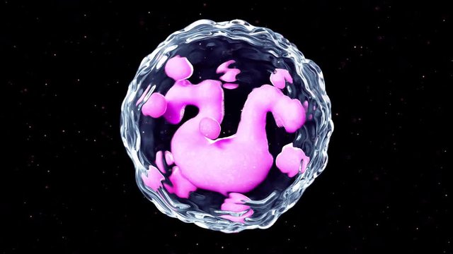 3d rendered medically accurate animation of a basophil
