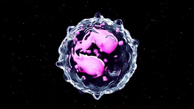 3d rendered medically accurate animation of an eosinophil
