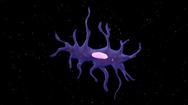3d rendered medically accurate animation of an osteocyte