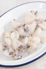 fresh cuttlefish with ice on dish