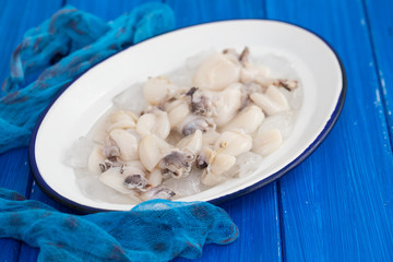 fresh cuttlefish with ice on dish