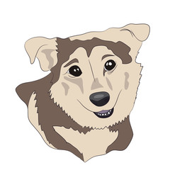 dog portrait profile, look down