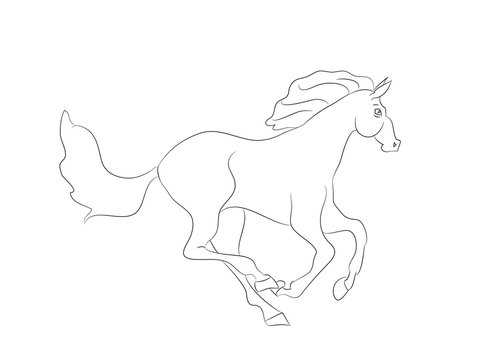 horse running, lines, vector