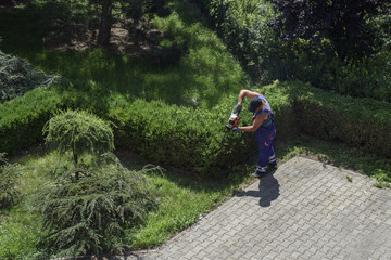 Naklejka na ściany i meble Professional gardner dressed with safety overalls using an hedge clipper