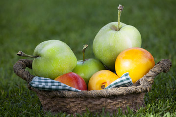 fruits basket summer garden 