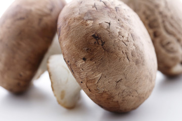 Royal mushrooms on white background