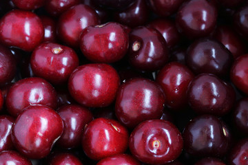 Ripe berries of sweet cherry in the spring