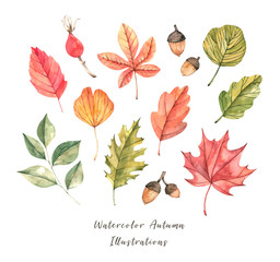 Hand drawn watercolor illustration. Set of fall leaves. Forest design elements. Hello Autumn! Perfect for seasonal advertisement, invitations, cards