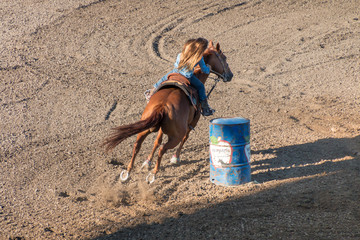 Barrel Racing A cowgirl with long blond braid, white hat and blue shirt rides on the back of a white horse turns her horse around the backside of a blue barrel in a barrel racing contest at a rodeo.