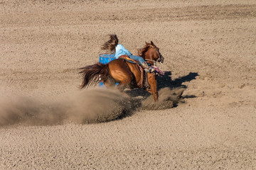 Barrel Racing A young cowgirl with long blond hair in a blue shirt rides on the back of a dark red horse turns her horse around the backside of a barrel raising lots of dust at a rodeo.
