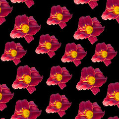 Obraz premium A seamless pattern consists of beautiful, vibrant flowers. for printed, textile and other products.