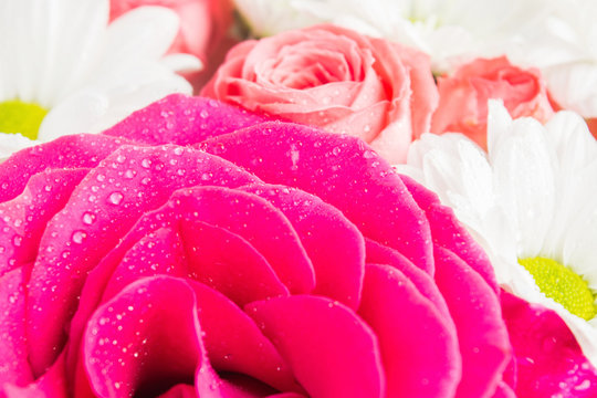 Closeup view of pink roses with flowers on background