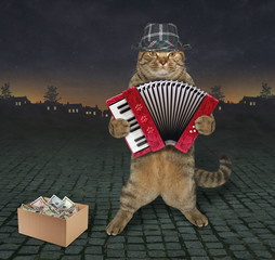 The cat in hat is playing the accordion on the street at night.