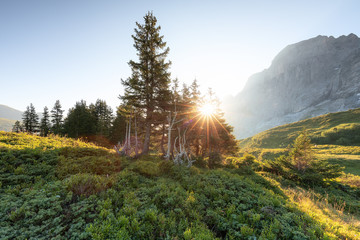 Grindelwald First – Top of Adventure